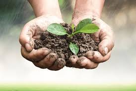 BKPS | Diploma In Soil and Fertilizer Management